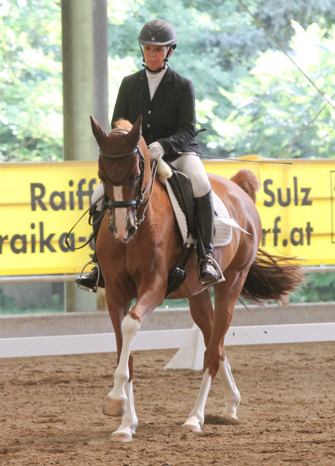 Ostern 2020: Top Ten Dressur Vollblutaraber 2019