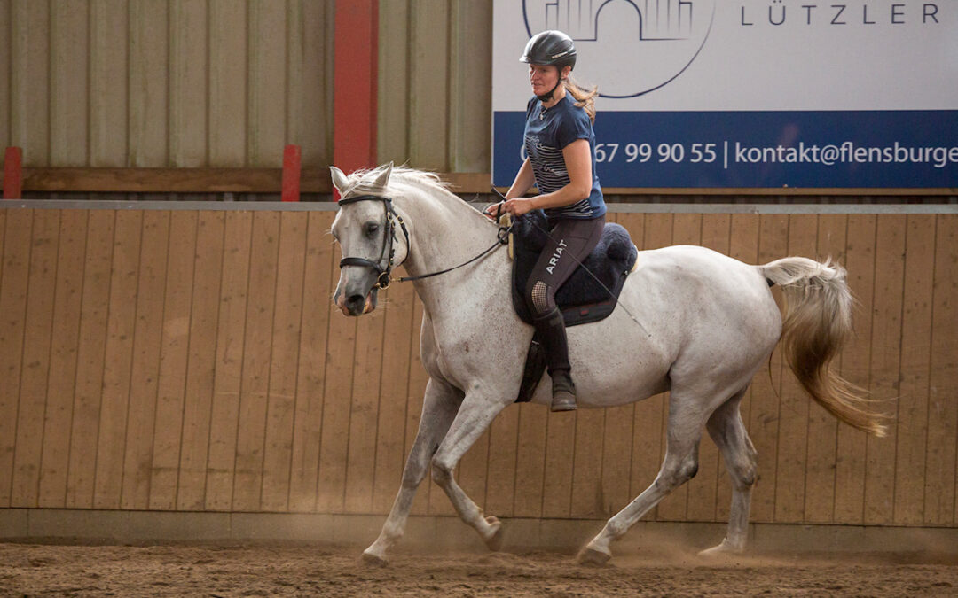 Madisyn von Prinik Kossack aus der Matrika