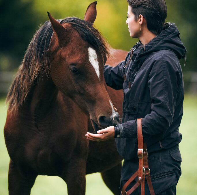 Sina und Magic Mabelle