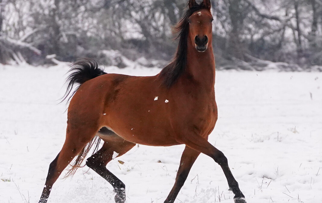 Unsere Videos der letzten Monate auf einen Blick!