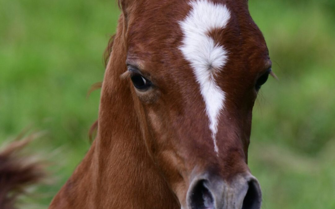 Herzlichen Glückwunsch Uschi!