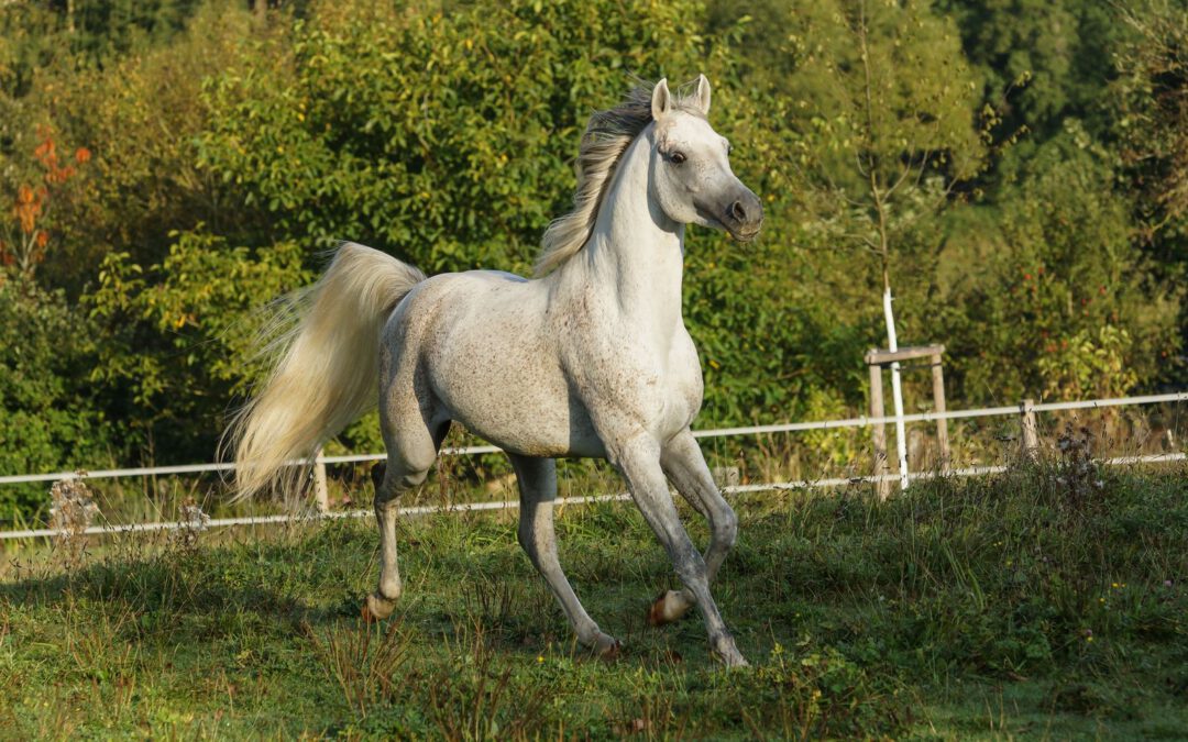 Wir hatten Besuch aus der Schweiz!