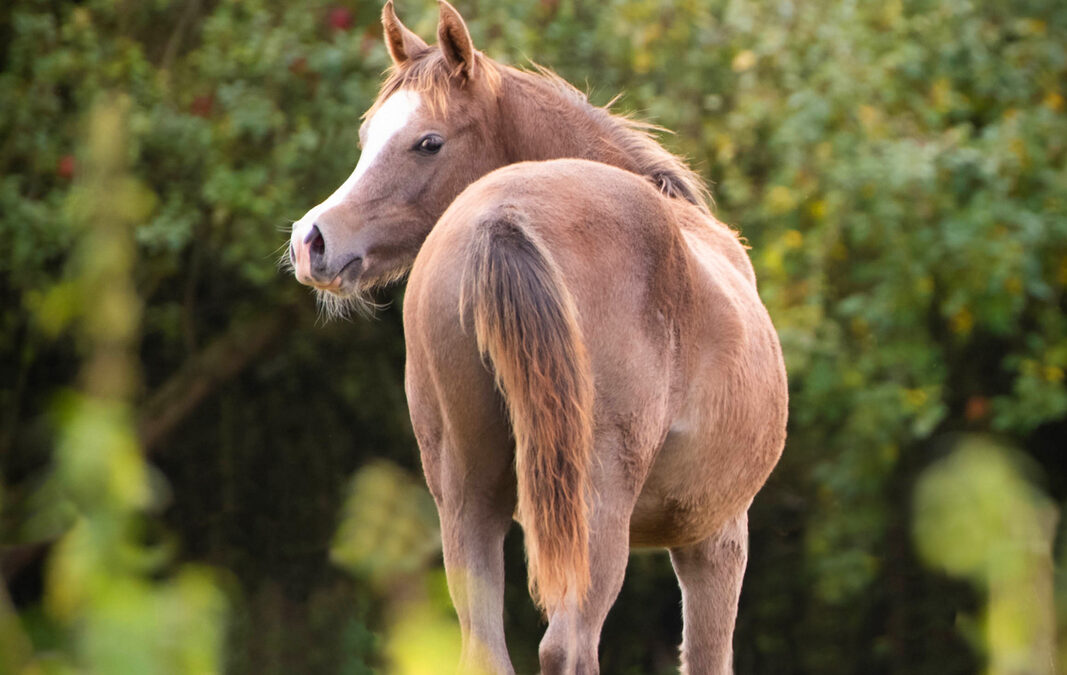 Oktober im Vogelsberg