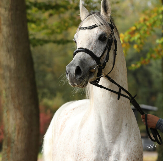 Unsere besonderen Momente in Darmstadt-Kranichstein
