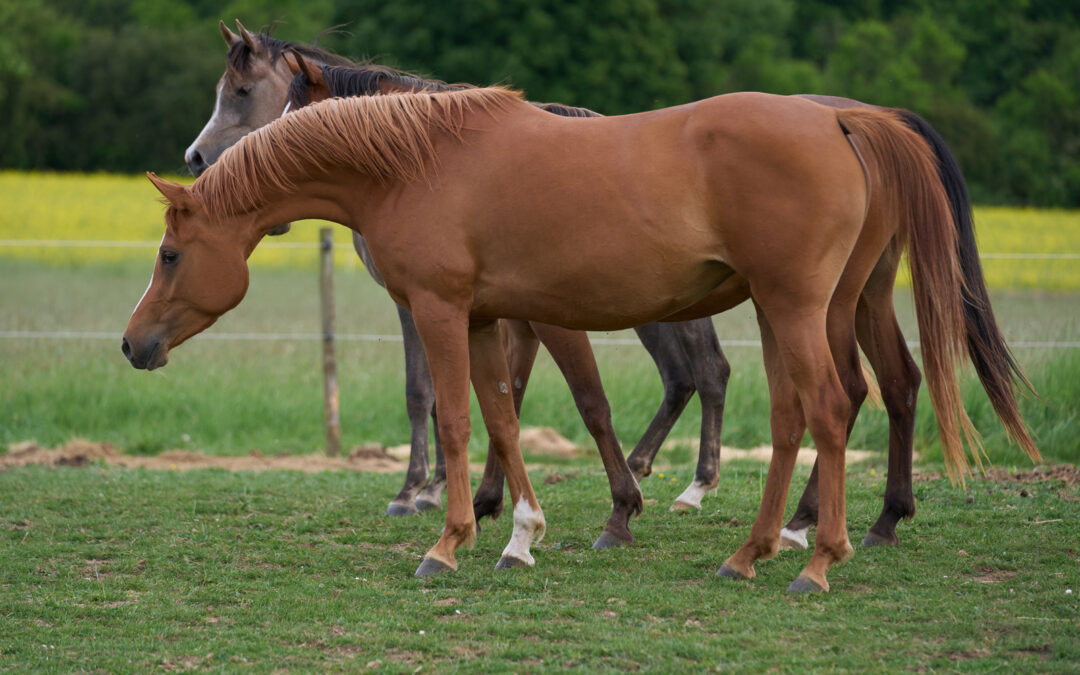 HF Mireya ist gut angekommen!