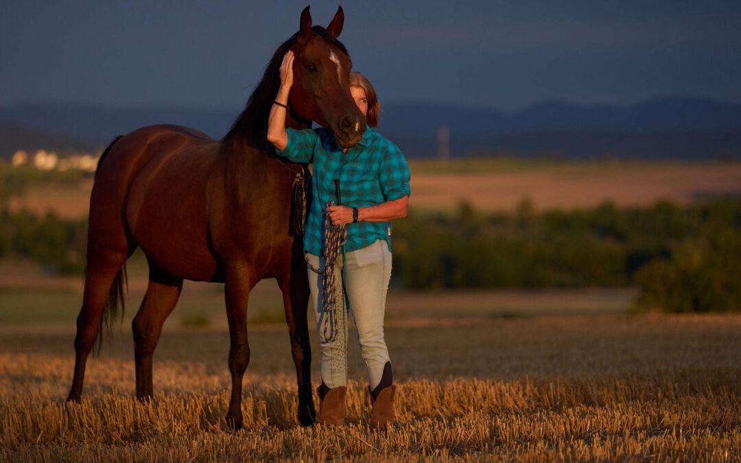 Wenn Bilder Geschichten erzählen…