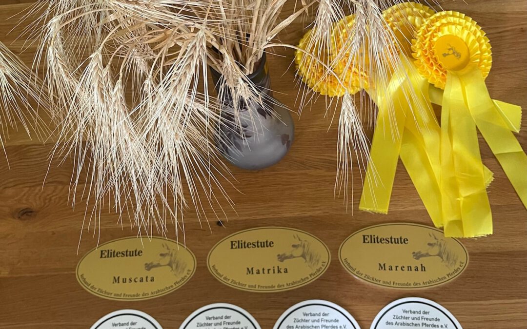 Wir freuen uns sehr!