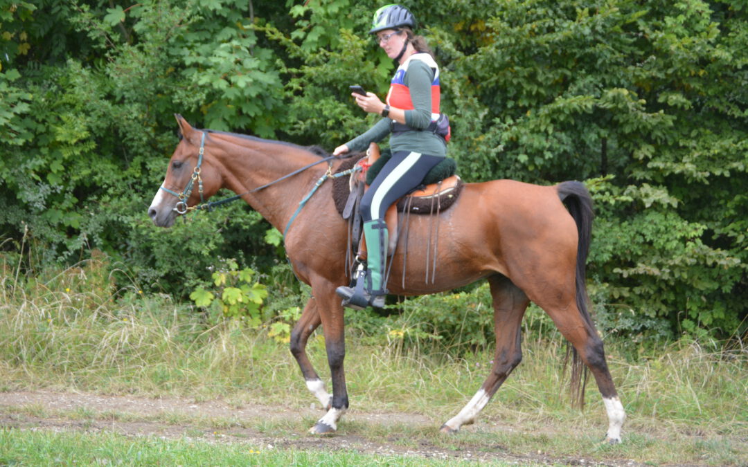 Silberne Sportplakette für MS Messina